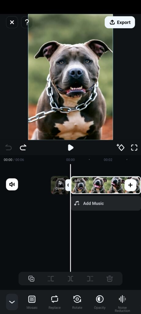 1000578341 Youtube Tips & SEO