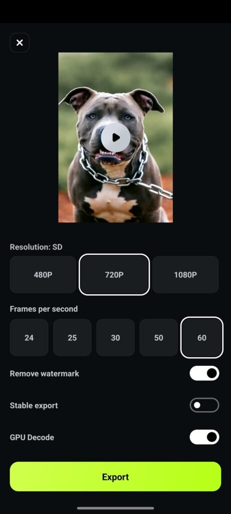 1000578344 Youtube Tips & SEO